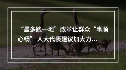 “最多跑一地”改革让群众“事顺心畅” 人大代表建议加大力度敢啃“硬骨头”