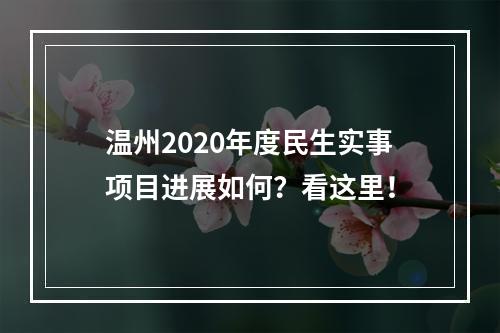 温州2020年度民生实事项目进展如何？看这里！