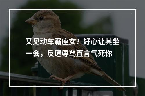 又见动车霸座女？好心让其坐一会，反遭辱骂直言气死你