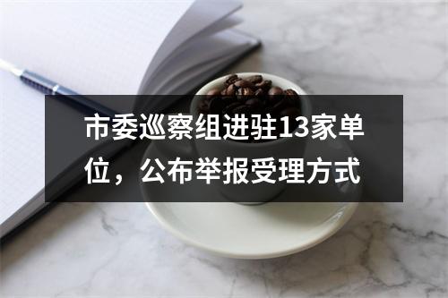 市委巡察组进驻13家单位，公布举报受理方式