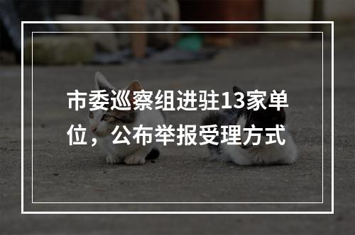 市委巡察组进驻13家单位，公布举报受理方式