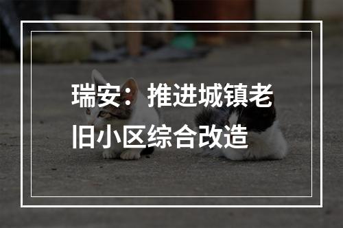 瑞安：推进城镇老旧小区综合改造