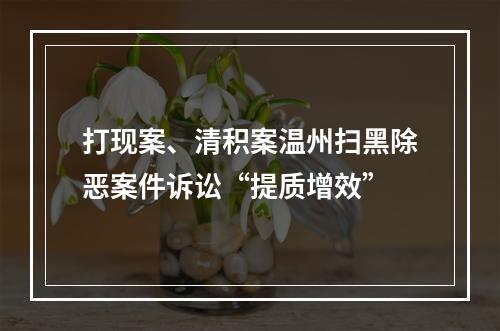 打现案、清积案温州扫黑除恶案件诉讼“提质增效”