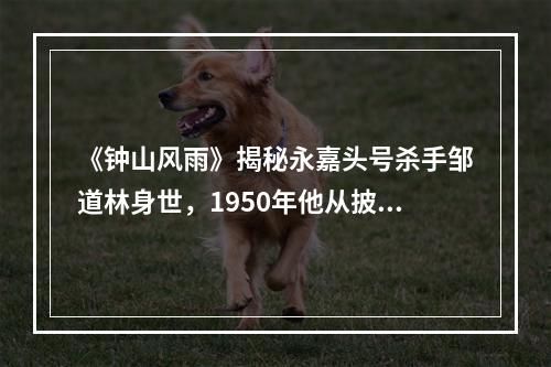 《钟山风雨》揭秘永嘉头号杀手邹道林身世，1950年他从披山岛杀了回来