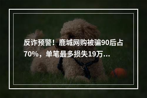 反诈预警！鹿城网购被骗90后占70%，单笔最多损失19万元