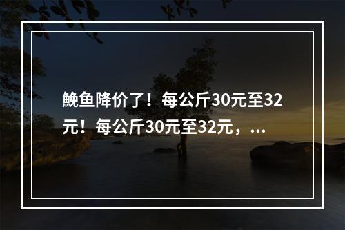 鮸鱼降价了！每公斤30元至32元！每公斤30元至32元，预计下次降价时间…
