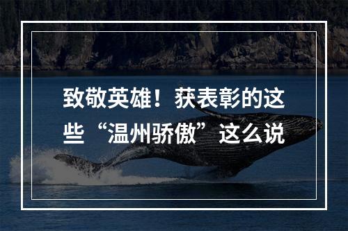 致敬英雄！获表彰的这些“温州骄傲”这么说