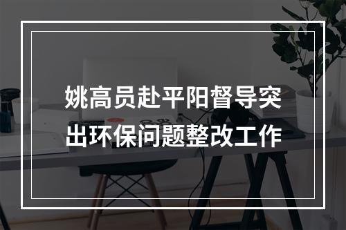 姚高员赴平阳督导突出环保问题整改工作