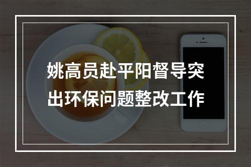 姚高员赴平阳督导突出环保问题整改工作