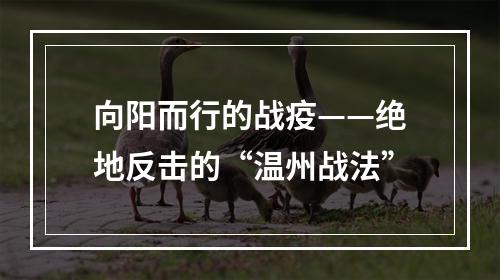向阳而行的战疫——绝地反击的“温州战法”
