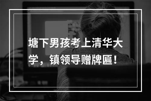 塘下男孩考上清华大学，镇领导赠牌匾！