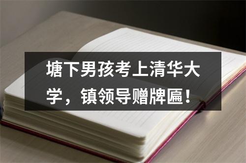 塘下男孩考上清华大学，镇领导赠牌匾！
