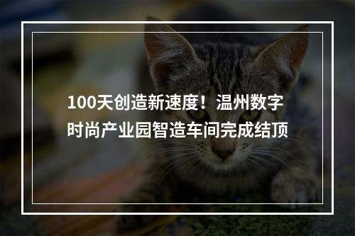 100天创造新速度！温州数字时尚产业园智造车间完成结顶