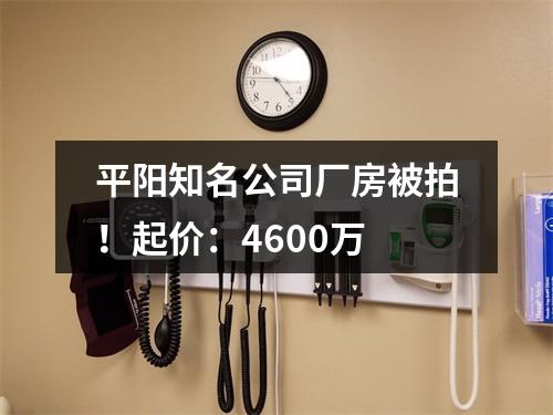 平阳知名公司厂房被拍！起价：4600万