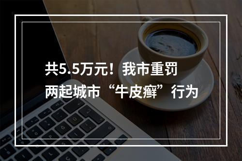 共5.5万元！我市重罚两起城市“牛皮癣”行为