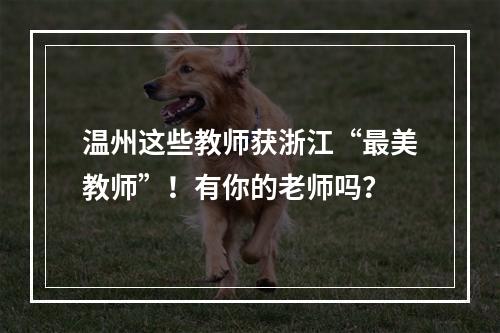 温州这些教师获浙江“最美教师”！有你的老师吗？