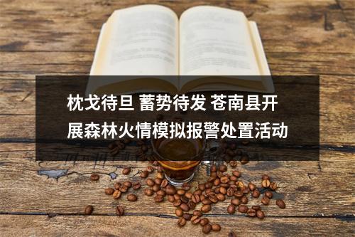 枕戈待旦 蓄势待发 苍南县开展森林火情模拟报警处置活动