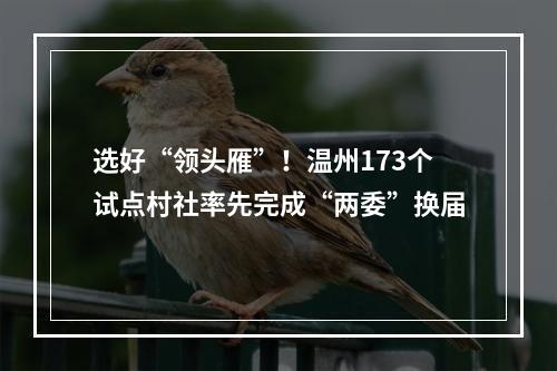 选好“领头雁”！温州173个试点村社率先完成“两委”换届