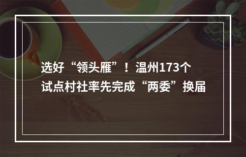 选好“领头雁”！温州173个试点村社率先完成“两委”换届