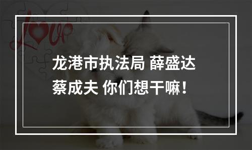 龙港市执法局 薛盛达 蔡成夫 你们想干嘛！