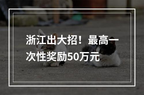浙江出大招！最高一次性奖励50万元