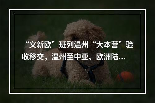 “义新欧”班列温州“大本营”验收移交，温州至中亚、欧洲陆上货运新通道蓄势待发
