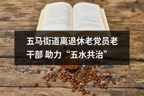 五马街道离退休老党员老干部 助力“五水共治”