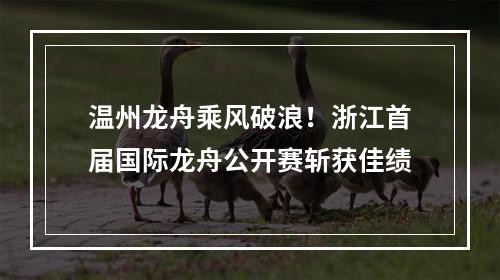 温州龙舟乘风破浪！浙江首届国际龙舟公开赛斩获佳绩