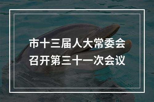 市十三届人大常委会召开第三十一次会议