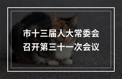 市十三届人大常委会召开第三十一次会议