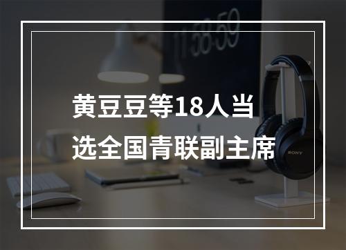 黄豆豆等18人当选全国青联副主席