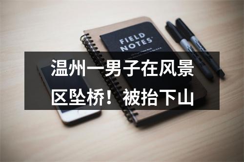 温州一男子在风景区坠桥！被抬下山