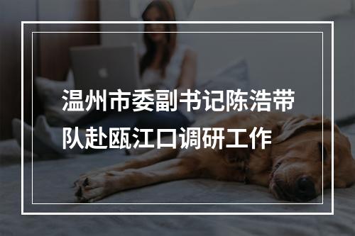 温州市委副书记陈浩带队赴瓯江口调研工作