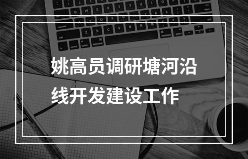 姚高员调研塘河沿线开发建设工作