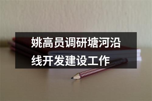 姚高员调研塘河沿线开发建设工作