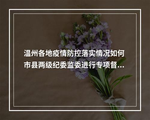 温州各地疫情防控落实情况如何 市县两级纪委监委进行专项督查