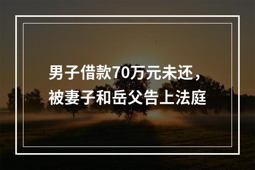 男子借款70万元未还，被妻子和岳父告上法庭