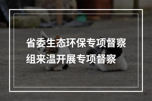 省委生态环保专项督察组来温开展专项督察