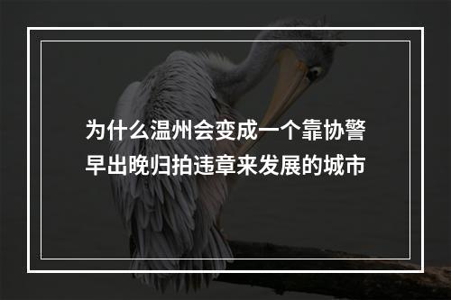 为什么温州会变成一个靠协警早出晚归拍违章来发展的城市