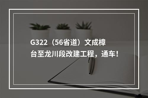 G322（56省道）文成樟台至龙川段改建工程，通车！