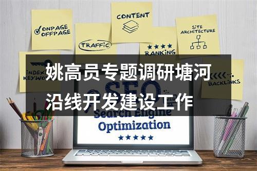 姚高员专题调研塘河沿线开发建设工作