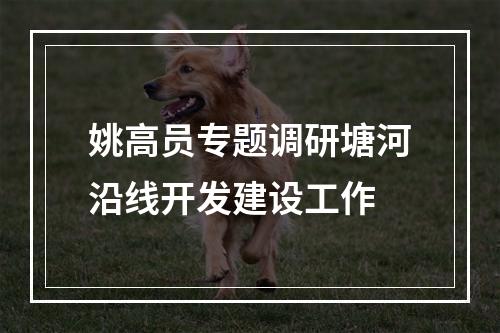姚高员专题调研塘河沿线开发建设工作