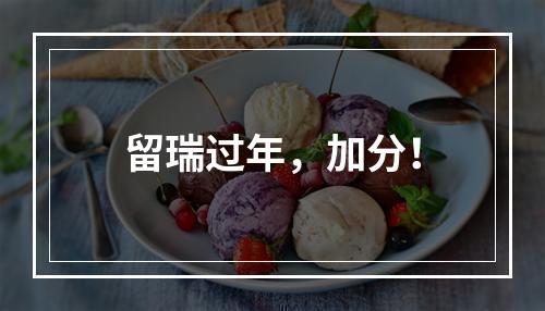 留瑞过年，加分！