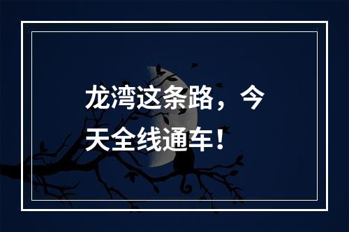 龙湾这条路，今天全线通车！