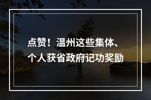 点赞！温州这些集体、个人获省政府记功奖励