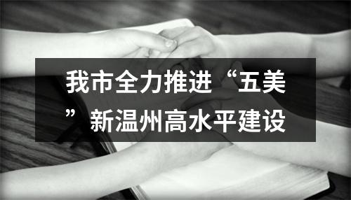 我市全力推进“五美”新温州高水平建设