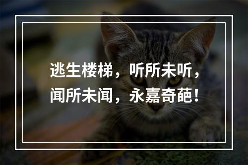 逃生楼梯，听所未听，闻所未闻，永嘉奇葩！