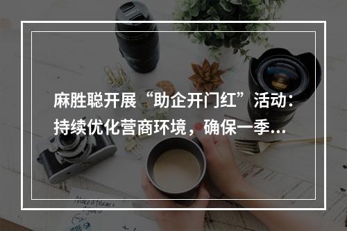 麻胜聪开展“助企开门红”活动：持续优化营商环境，确保一季度开门红！