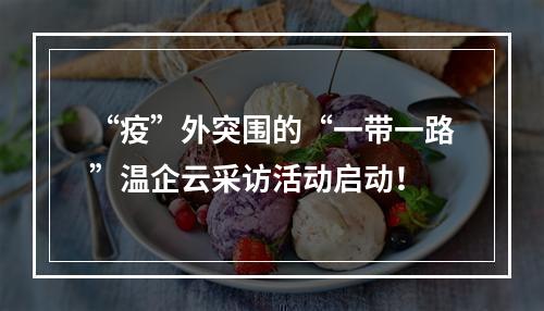 “疫”外突围的“一带一路”温企云采访活动启动！