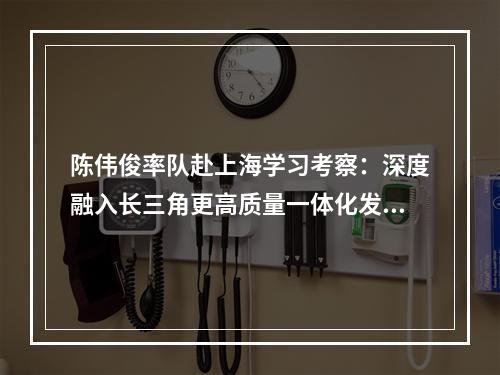 陈伟俊率队赴上海学习考察：深度融入长三角更高质量一体化发展